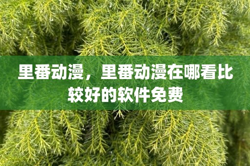 里番动漫，里番动漫在哪看比较好的软件免费