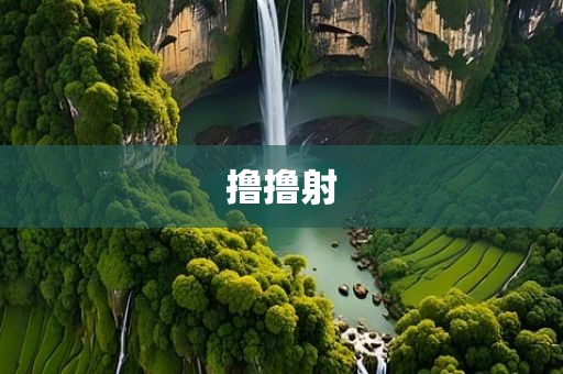 撸撸射