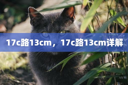 17c路13cm，17c路13cm详解