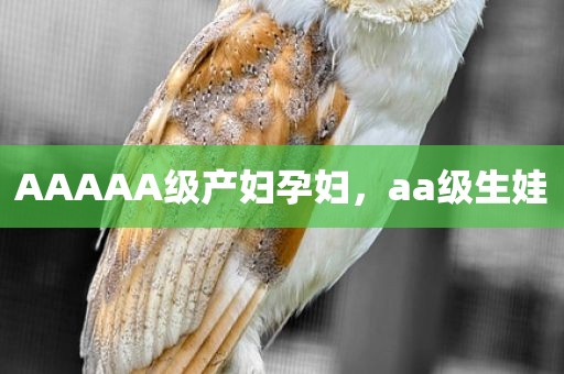 AAAAA级产妇孕妇，aa级生娃