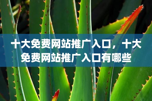 十大免费网站推广入口，十大免费网站推广入口有哪些