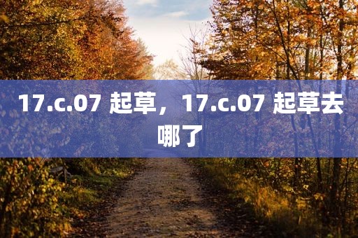 17.c.07 起草，17.c.07 起草去哪了