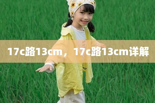 17c路13cm，17c路13cm详解