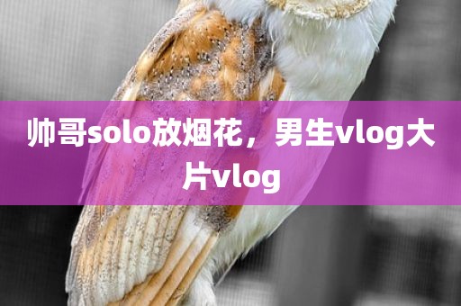 帅哥solo放烟花，男生vlog大片vlog