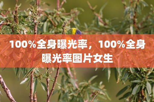 100%全身曝光率，100%全身曝光率图片女生