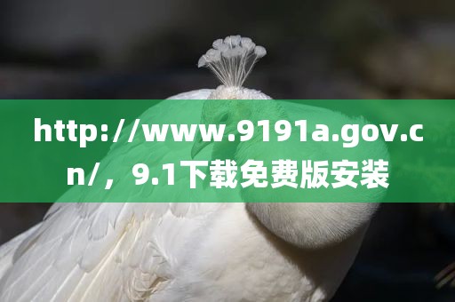 http://www.9191a.gov.cn/，9.1下载免费版安装