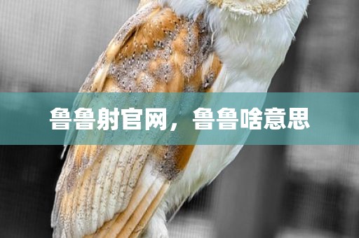 鲁鲁射官网，鲁鲁啥意思