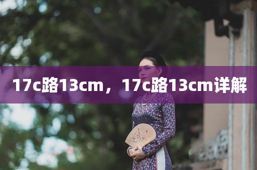 17c路13cm，17c路13cm详解