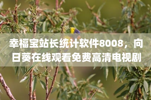 幸福宝站长统计软件8008，向日葵在线观看免费高清电视剧