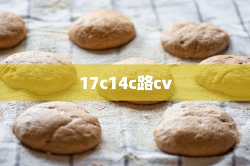 17c14c路cv