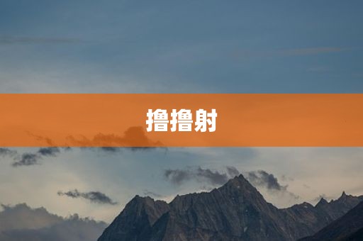 撸撸射