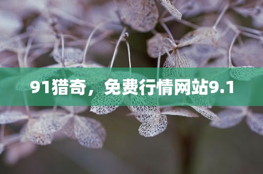 91猎奇，免费行情网站9.1