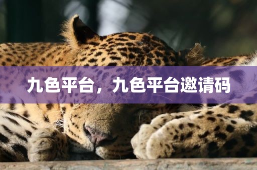 九色平台，九色平台邀请码