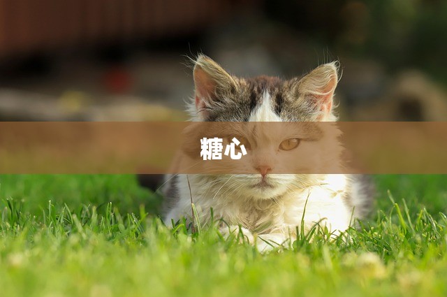 糖心
