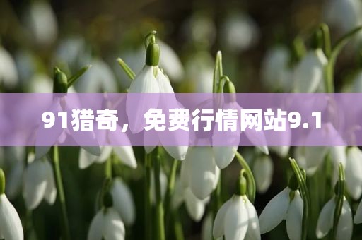 91猎奇，免费行情网站9.1