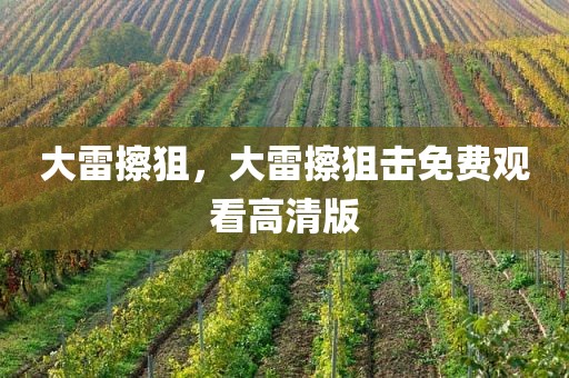 大雷擦狙，大雷擦狙击免费观看高清版