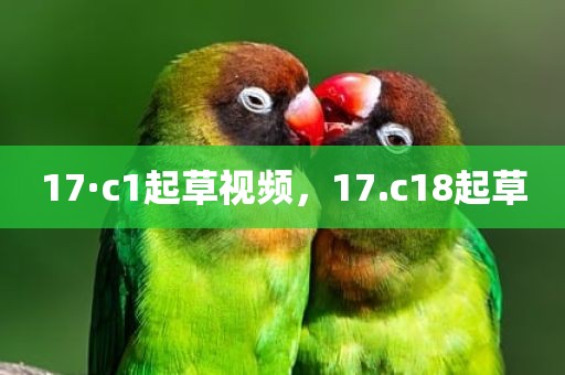 17·c1起草视频，17.c18起草