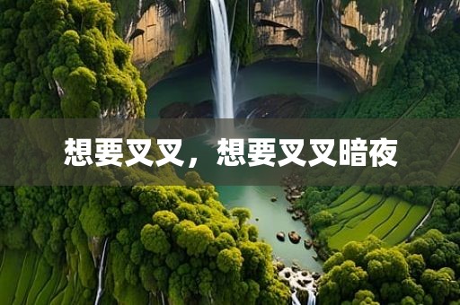 想要叉叉，想要叉叉暗夜