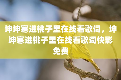 坤坤寒进桃子里在线看歌词，坤坤寒进桃子里在线看歌词快影免费