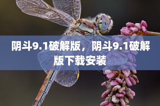 阴斗9.1破解版，阴斗9.1破解版下载安装