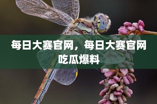 每日大赛官网，每日大赛官网吃瓜爆料