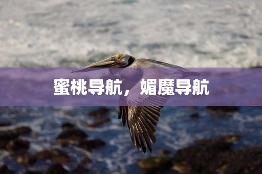 蜜桃导航，媚魔导航
