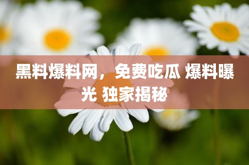 黑料爆料网，免费吃瓜 爆料曝光 独家揭秘