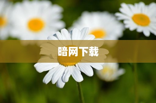 暗网下载