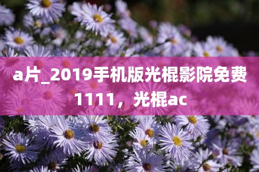a片_2019手机版光棍影院免费1111，光棍ac