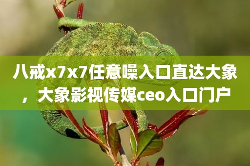 八戒x7x7任意噪入口直达大象，大象影视传媒ceo入口门户