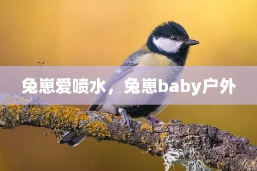 兔崽爱喷水，兔崽baby户外