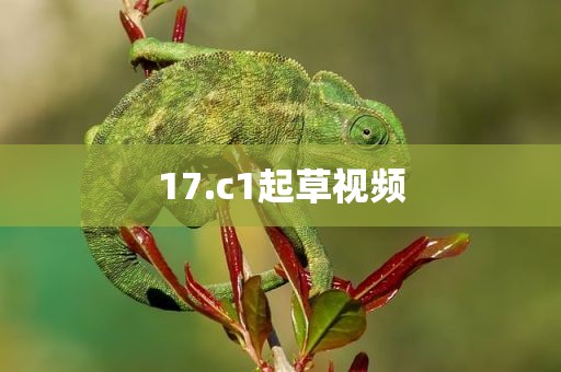 17.c1起草视频