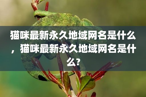 猫咪最新永久地域网名是什么，猫咪最新永久地域网名是什么?