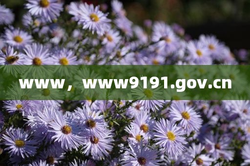 www，www9191.gov.cn