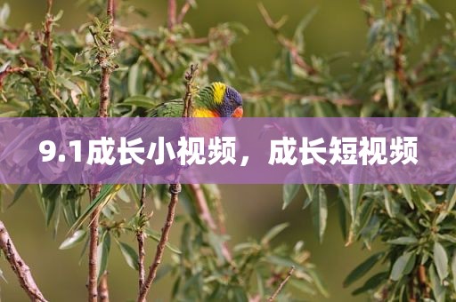 9.1成长小视频，成长短视频