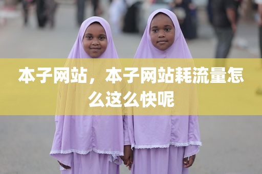 本子网站，本子网站耗流量怎么这么快呢