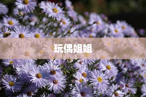 玩偶姐姐