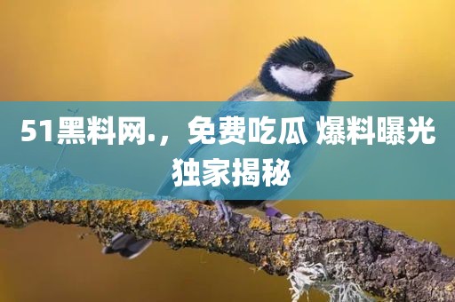 51黑料网.，免费吃瓜 爆料曝光 独家揭秘
