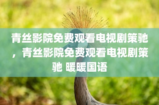 青丝影院免费观看电视剧策驰，青丝影院免费观看电视剧策驰 暖暖国语