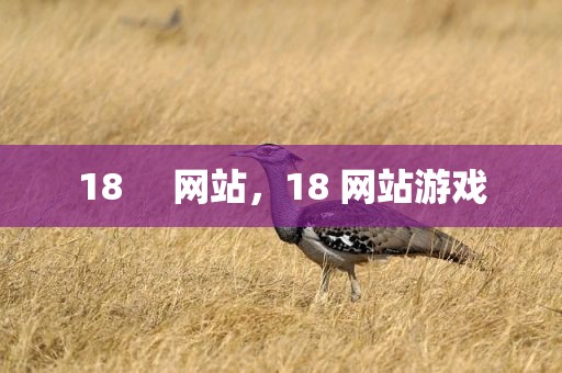 18     网站，18 网站游戏