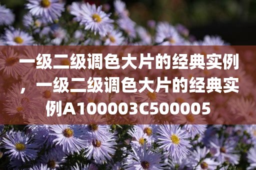 一级二级调色大片的经典实例，一级二级调色大片的经典实例A100003C500005