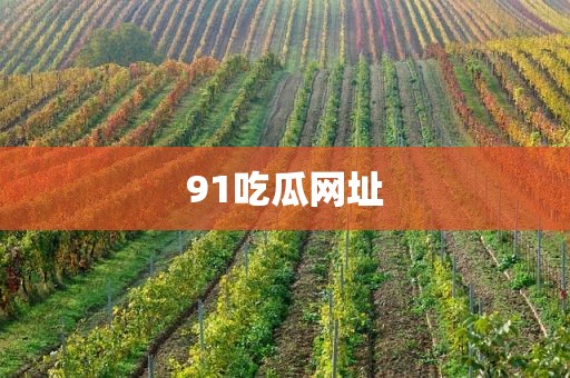 91吃瓜网址