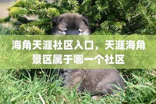 海角天涯社区入口，天涯海角景区属于哪一个社区