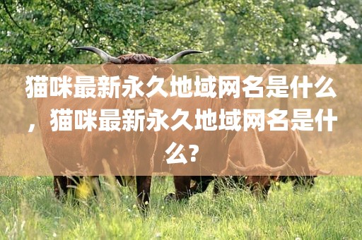 猫咪最新永久地域网名是什么，猫咪最新永久地域网名是什么?