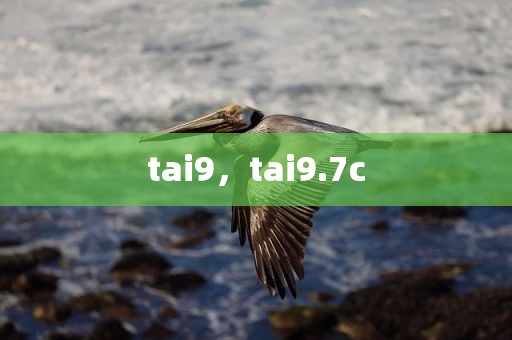 tai9，tai9.7c