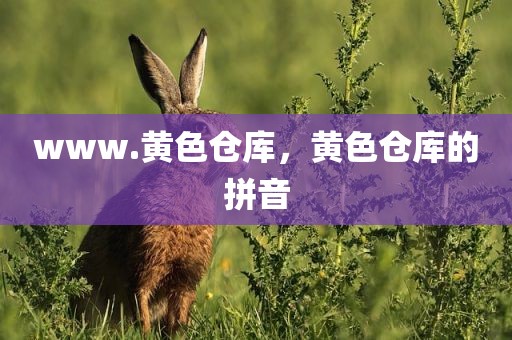 www.黄色仓库，黄色仓库的拼音