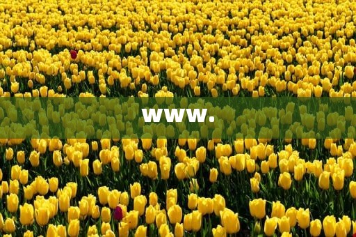 www.