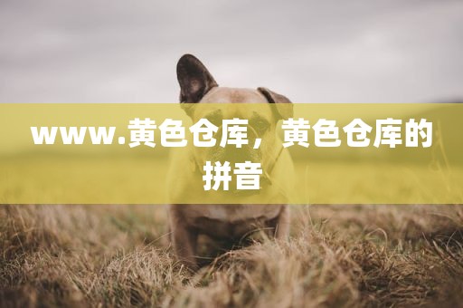www.黄色仓库，黄色仓库的拼音