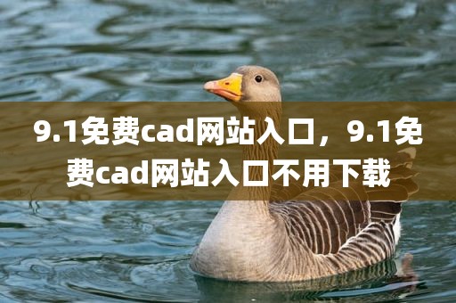 9.1免费cad网站入口，9.1免费cad网站入口不用下载