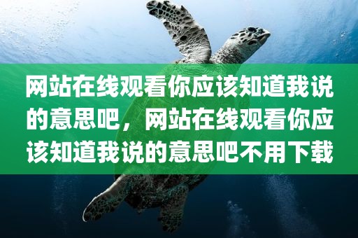 网站在线观看你应该知道我说的意思吧，网站在线观看你应该知道我说的意思吧不用下载